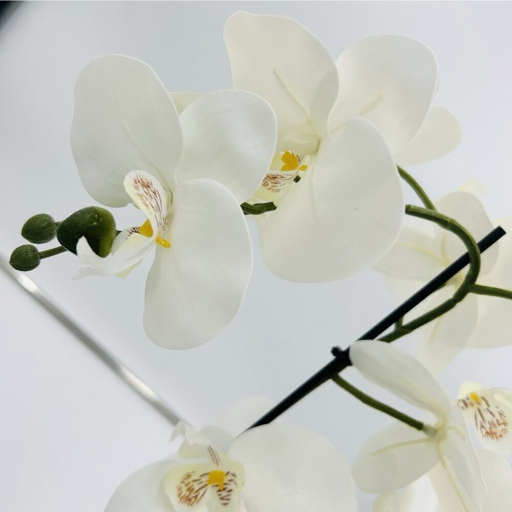 White Phalaenopsis 19" Orchid Artificial Flowers with Black Vase Arrangement - Picture 5 of 9